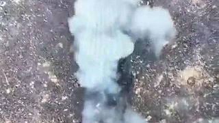 Invázny druh vyliezol z nory