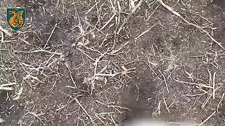 Okupanti sa snažia vypadať ako mŕtvoly