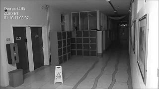 Tesne po tretej hodine rannej zachytili školské kamery desivú scénu.
