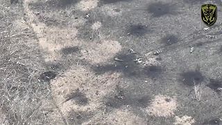 Okupanti a pobyt na ukrajine