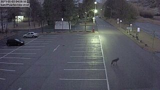 Hoax ministerstva ŽP prevzalo viacero médii. Nemocnica hoax MŽP spochybnila