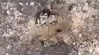 Ivan sa nečakane prebudil, no napokon si zdriemol ešte na druhom boku