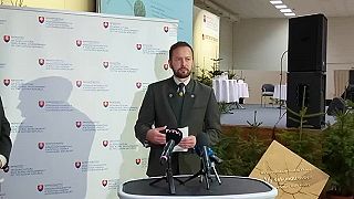Zasahovať či nezasahovať do lesov? Odborníci na medzinárodnej konferencii