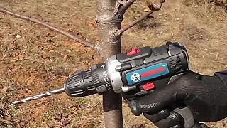 Alternatívne metódy vrúbľovania a štepenia stromov