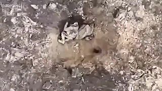 Okupant spozoroval že niečo doposial nepoznané sviští vzduchom