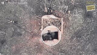 FPV drony prevychovávajú okupantov k slušnému správaniu