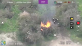 Dron našiel dieru pre hlodavce