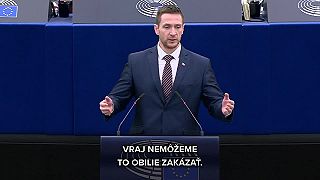 EÚ odkázala Slovákom: Držte hubu a toxické obilie jedzte!