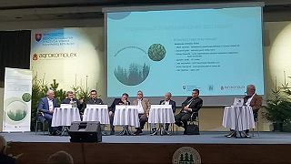 Medzinárodná konferencia o lesoch. Bezzásah a národné parky. Časť 2