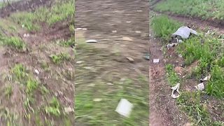 Tohtoročná úroda zemiakov, cibuľa a mrkvy