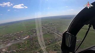 Každodenný život Aligátorov
