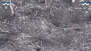 Vzdať sa znamená žiť #01