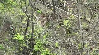 Poslední živý okupant sa radšej vzdal