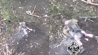 Okupant má toho plné zuby