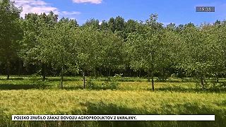 Agrolesníctvo. Spojenie lesníctva s poľnohospodárstvom