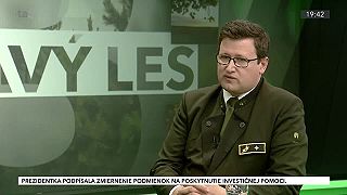 Štátne lesy