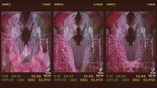 Birdy - StudioTime 17