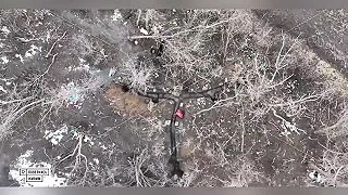 Taktiké preskupenie okupantov