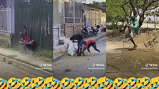 Nachytavka s pavúkom