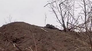 Okupanti po všednom dni na frontovej línii
