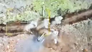Dron na obed