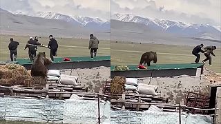 Medzičasom niekde v Kirgizsku (s medveďom)