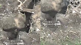 Ivan pozri aký zvláštny vták. Videl si už takého?