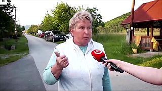 Ochranári ťažko prijímajú fakt, že medveď je na Slovensku premnožený