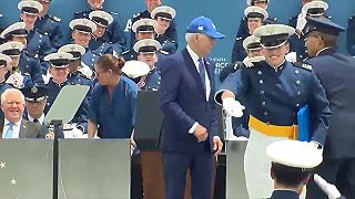 Trumpova muška