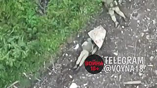 Nová skrýša na fronte