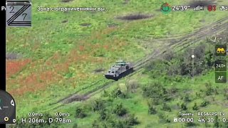 ️Jednotka ukrajinskej armády zastrelila bojovníkov UA, ktorí sa pokúšali ustúpiť