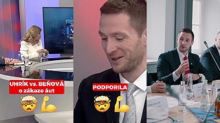 Poslanec vs.Poslankyňa