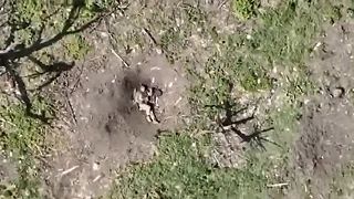 Okupantom sa domov stále nechce