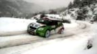 Škoda Fabia S2000