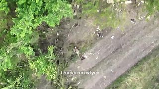 Záporožská protiofenzíva: Oslobodzovanie Storozheve
