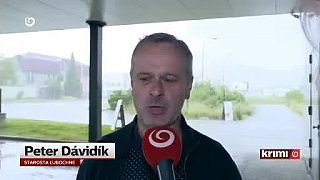 Medvede v Ľubochni likvidovali včelstvá