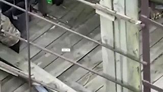 Okupant sa schoval na veži