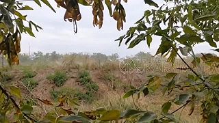 4x HIMARS na ceste mieru