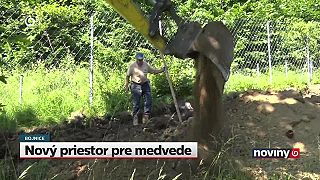 Bláznovstvo: väzenie pre nedisciplinované medvede v ZOO Bojnice