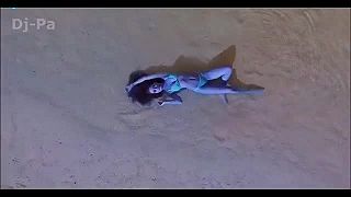 Best Songs Of The 1990s Cream Dance Hits of 90s 2000s 2022s Live Clu