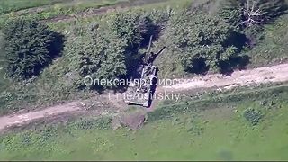 Mínus 2S4 Tyulpan #02