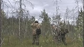 Metodika odchovu hlucháňa pasením pod ľudskou kontrolou