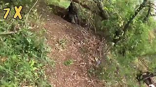Čistenie líščích dier od okupantov pri Klishchiivke