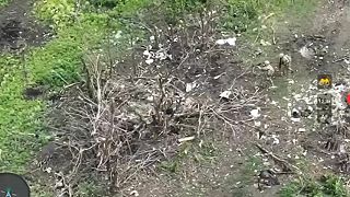 Ukrajinský vojak zastrelil utekajúceho pidara (CITLIVÉ ZÁBERY)