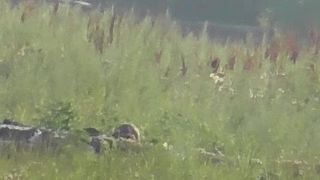 Ukrajinec s dalekohladom dostal hlavu od dvoch sniperov naráz