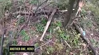 Zmasakrovaní ukrajinci utekajú o život