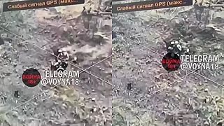 Početné samovraždy v radách okupantov začínajú byť folklórom