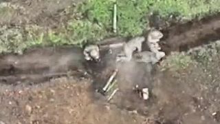 Okupanti si chillovali a snívalo n novom splachovacom záchode