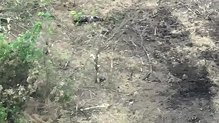 Mŕtvi ukrajinskí vojaci po neúspešnom útoku (CITLIVÉ ZÁBERY) 
