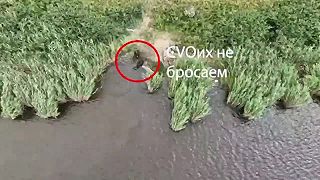 Okupanti si išli zaplávať a zabehať. Odplazil sa však len jeden.
